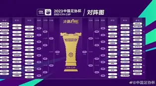 比赛结果揭晓：球队凭借什么获胜？(面对这么多的困难,球队怎么能赢得比赛呢?)